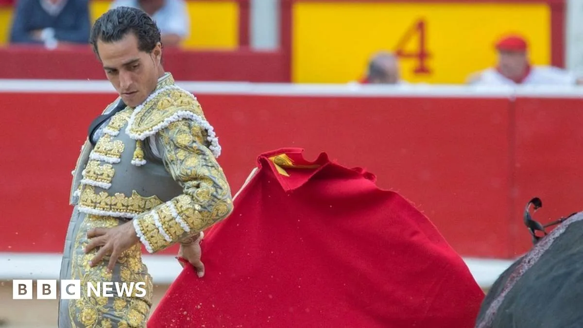 Matador Ivan Fandino Dies After Bull Goring in France