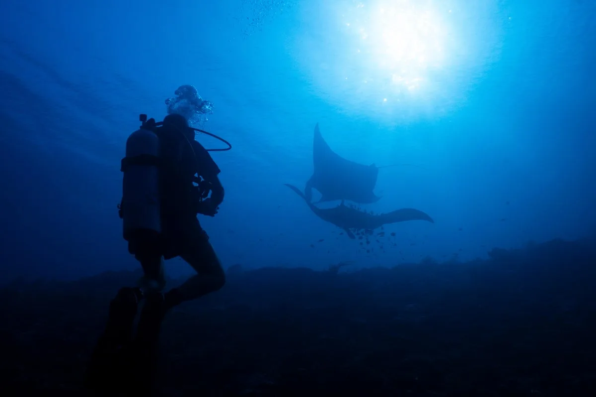 Raja Ampat's Conservation Success Threatened by Nickel Mining Expansion