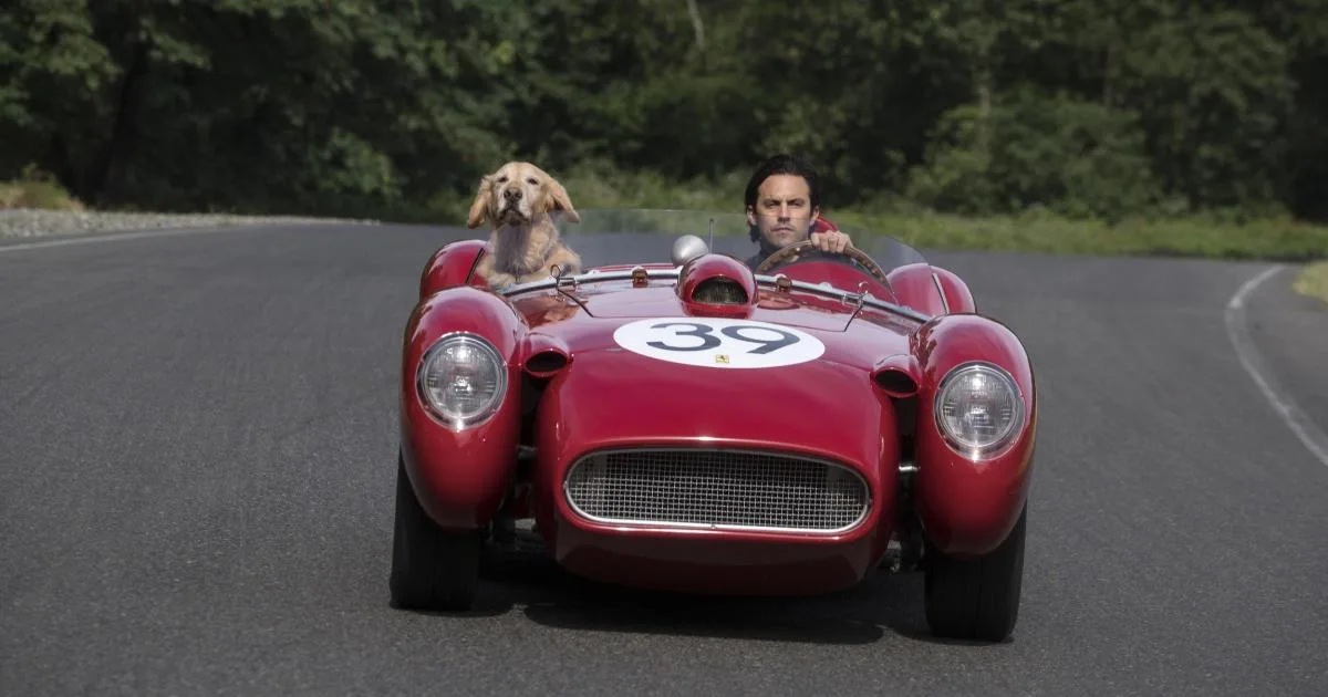 Rescue Dog Stars In Oscar Nominated Film