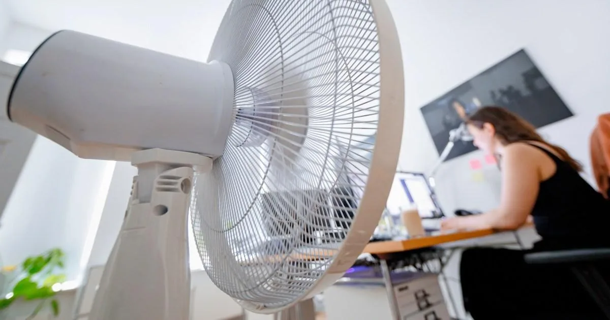 Heatwave Working Rights: Employers Urged to Protect Staff as Temperatures Soar