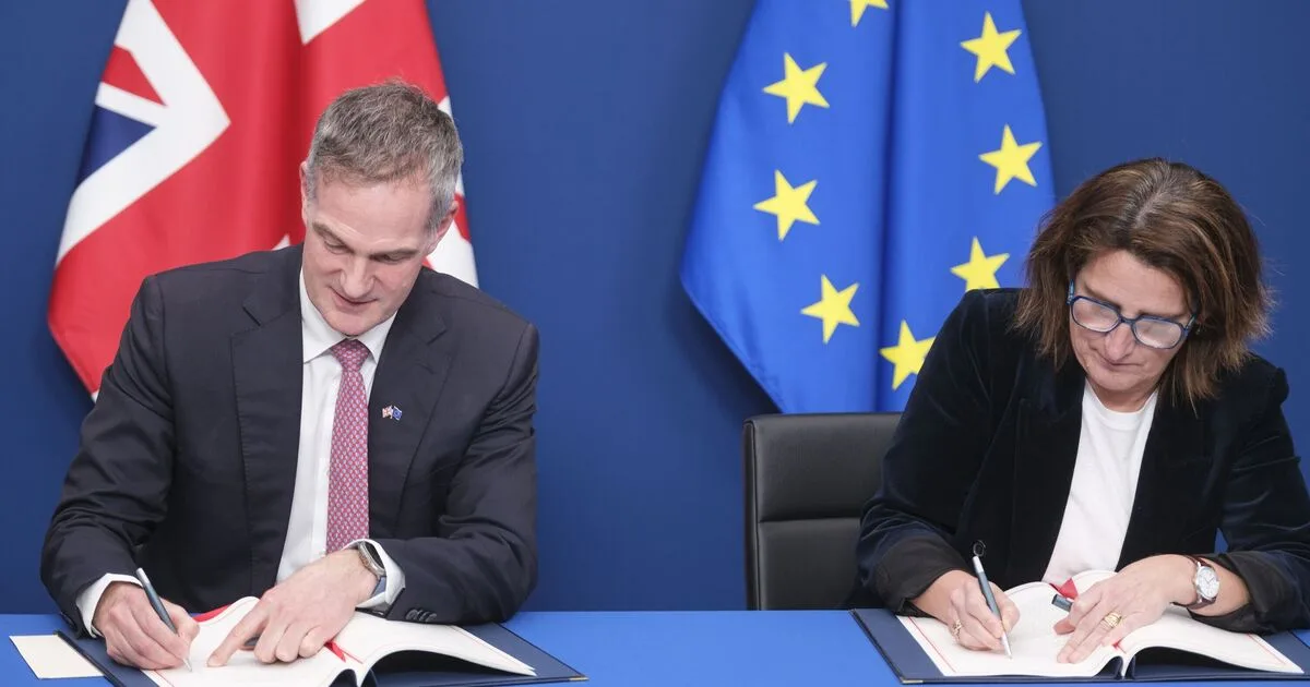 Labour Minister Insists EU Alignment Is 'Where the Magic Happens' Amid Brexit Regret
