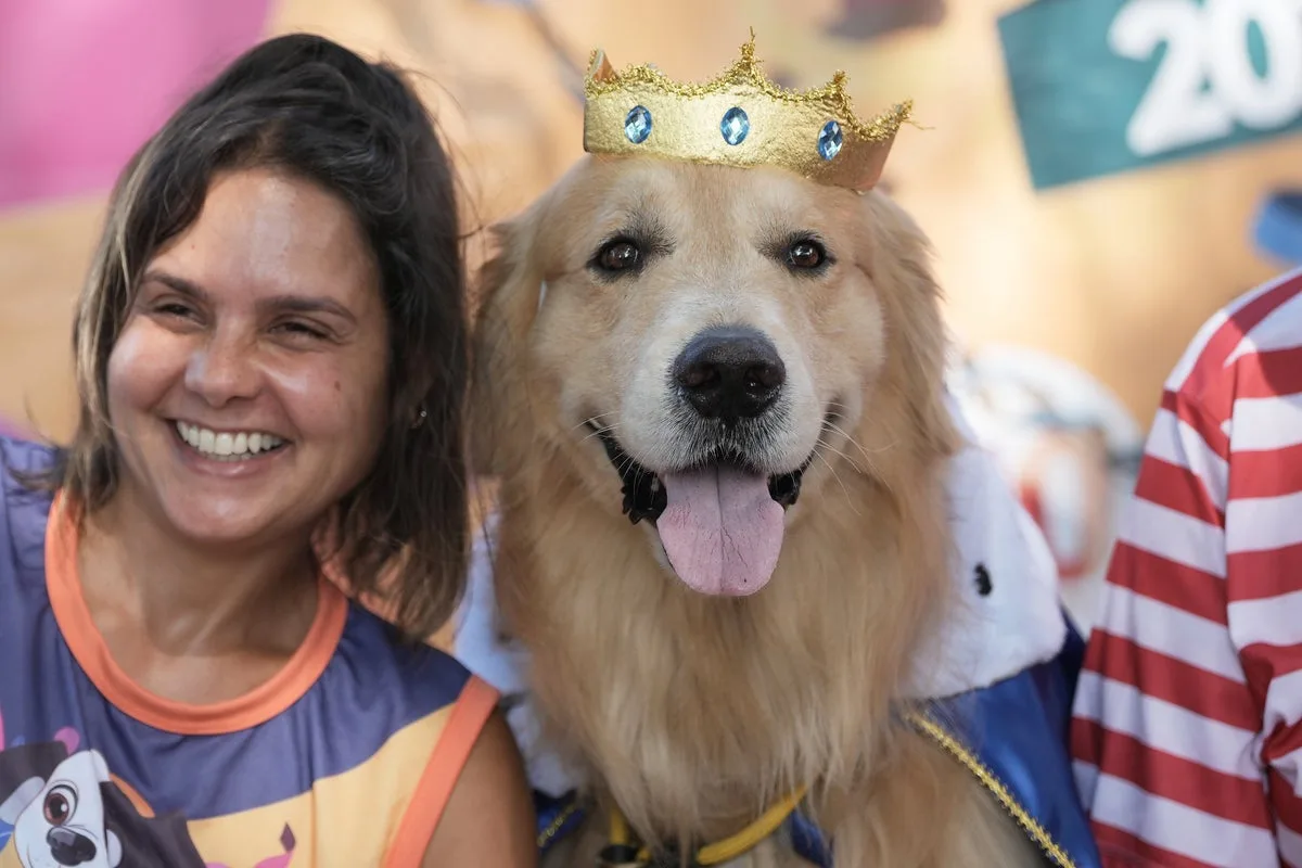 Rio Carnival Dog Parade Protests Pet Cruelty
