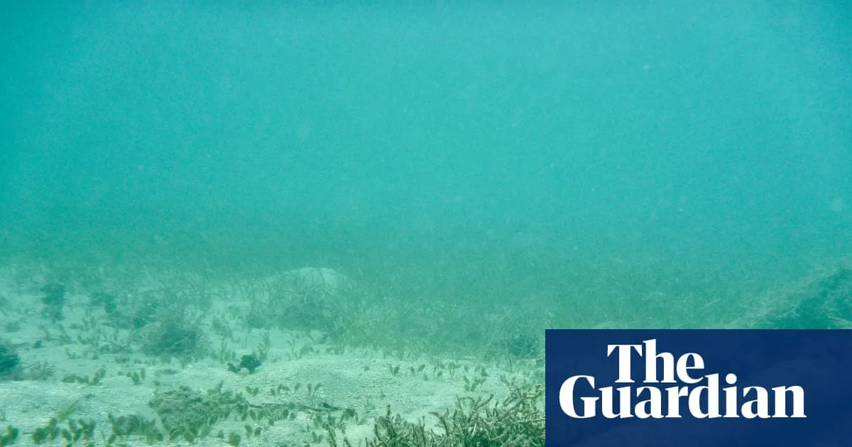 Russia and China Could Cripple UK by Cutting Undersea Cables, Report Warns