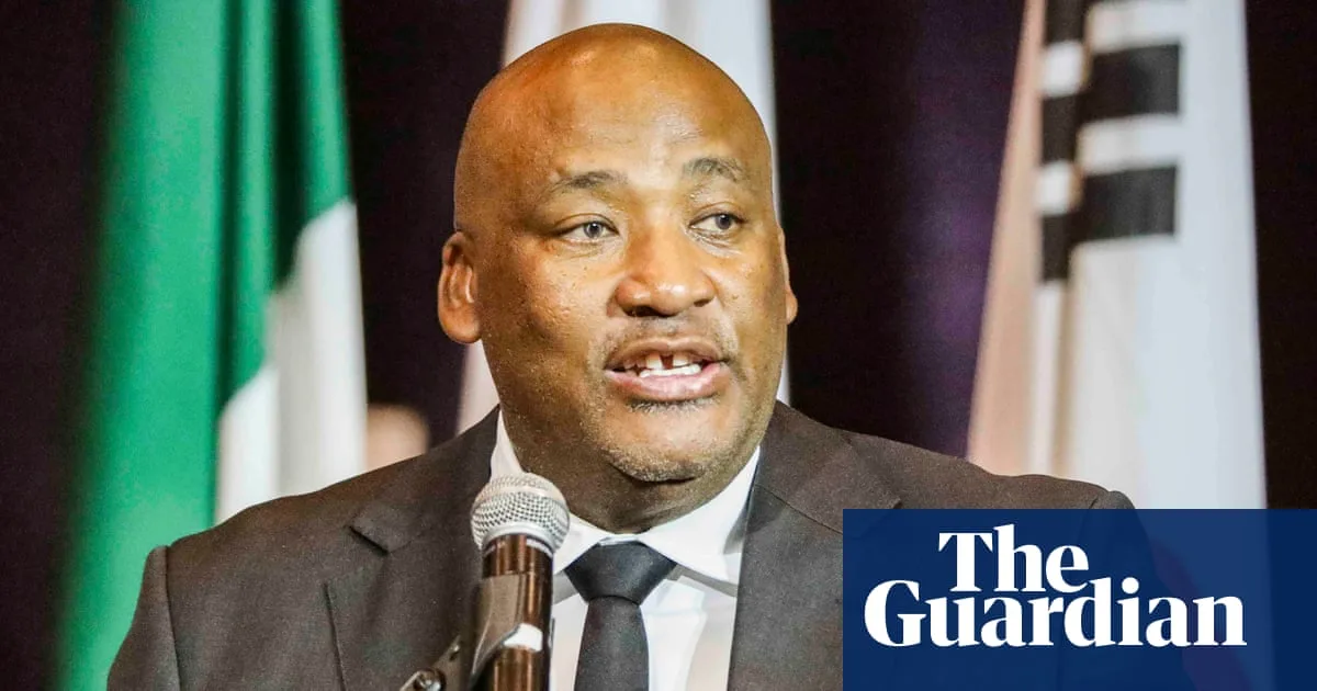 South African Minister Investigated for Racist Social Media Posts