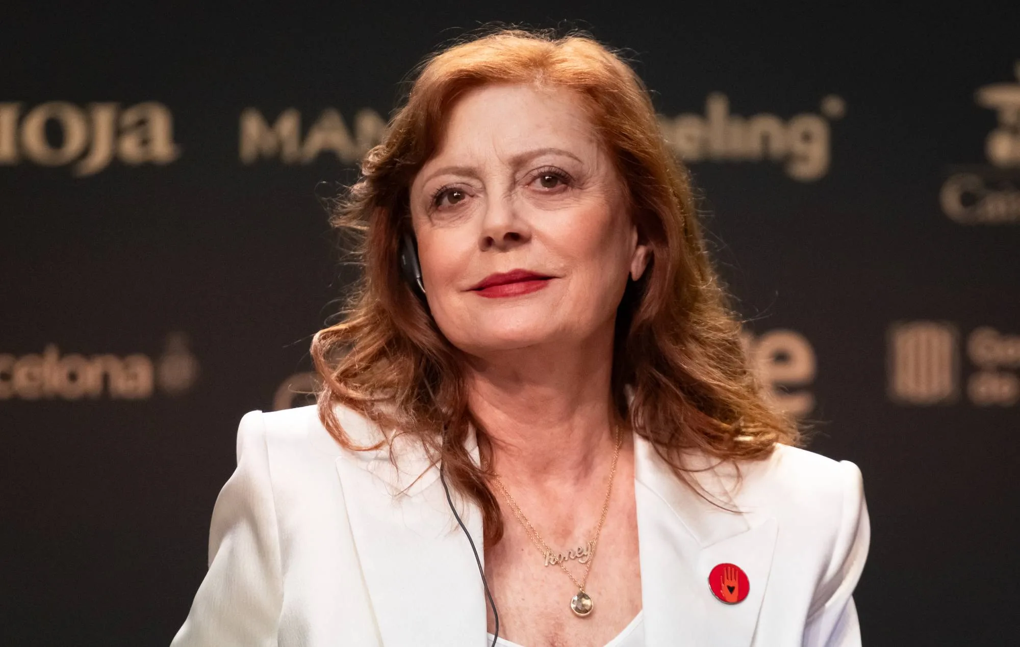 Susan Sarandon Claims Hollywood Blacklisting Over Gaza Comments