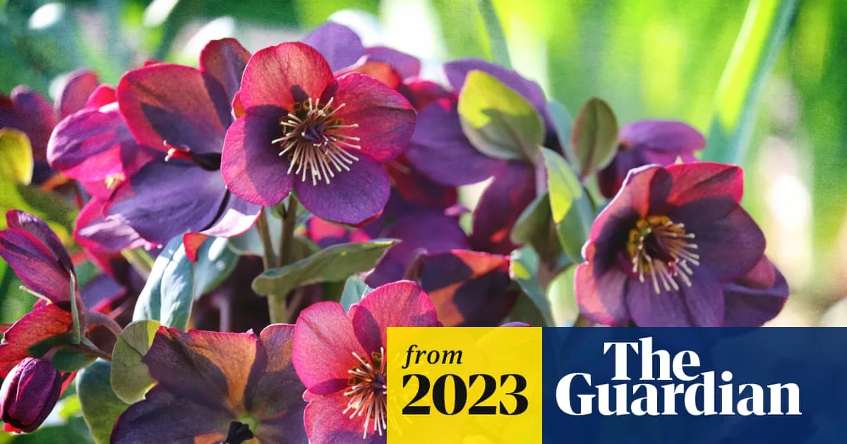 How to Start a Sustainable, Affordable Garden This Winter