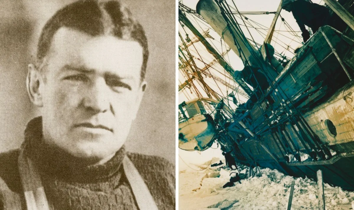 Shackleton's crew forced to eat penguins and dogs to survive