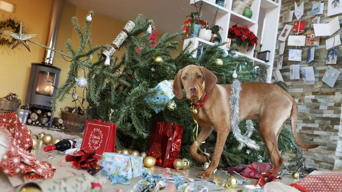 Dog Trainer Reveals Simple Trick to Stop Pets Destroying Christmas Trees
