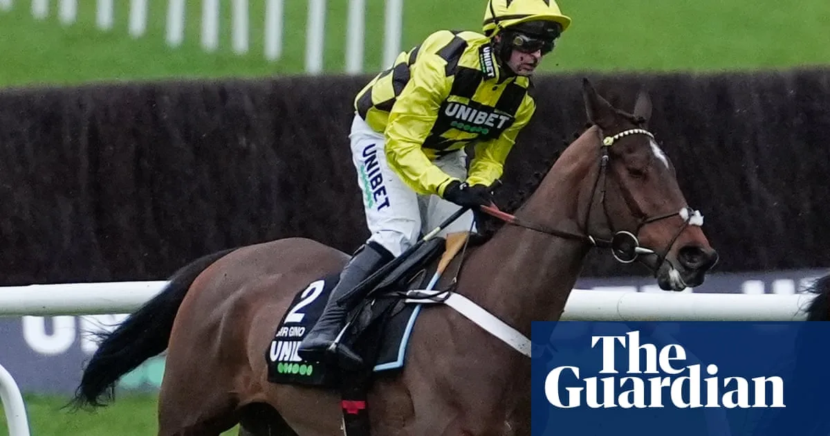 Sir Gino Suffers Fractured Pelvis in Cheltenham International Hurdle