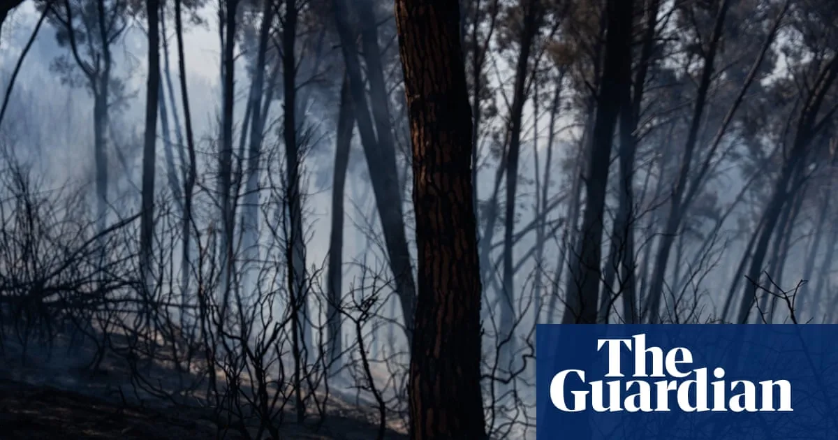 Twelve Killed in Southern Spain Wildfire Amid Heatwave