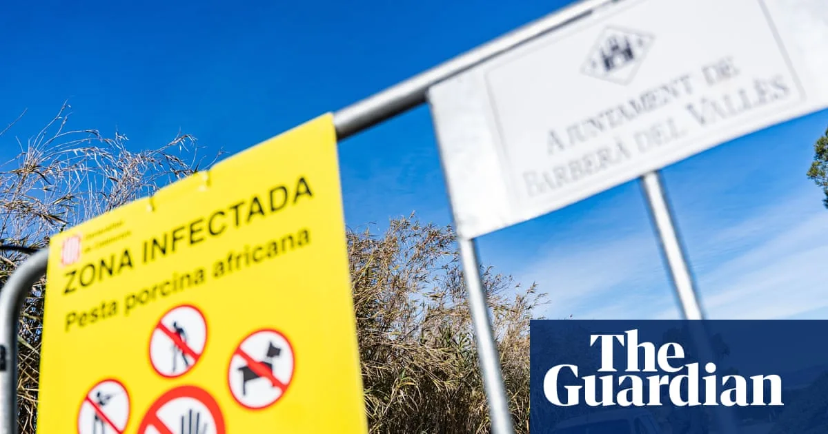 African swine fever outbreak in Spain may have leaked from research lab