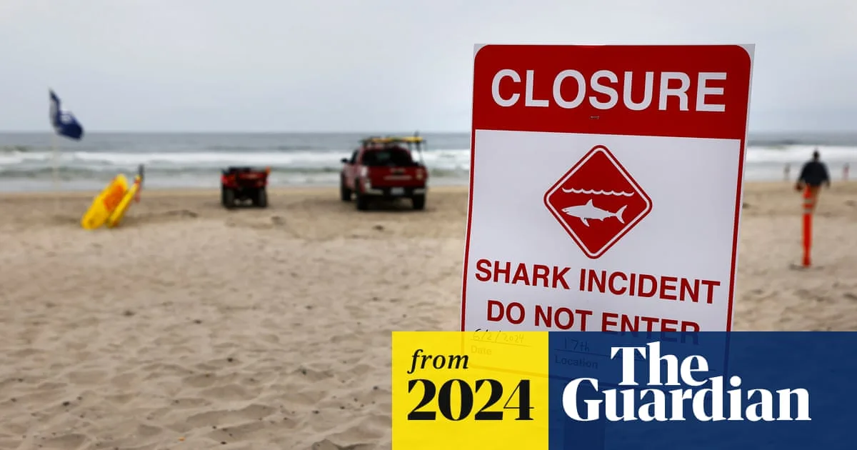 California Shark Attack Survivor Recalls Harrowing Fight for Life