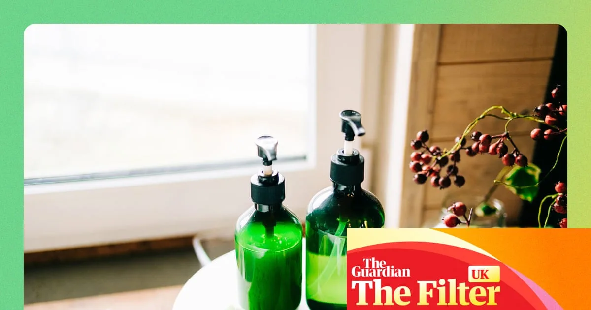 Sustainable Subscriptions: Readers' Top Green Picks