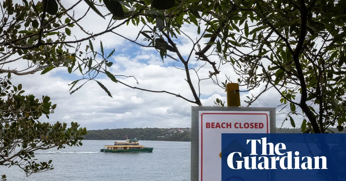 Family of 12-year-old Sydney Harbour shark attack victim prepares for worst