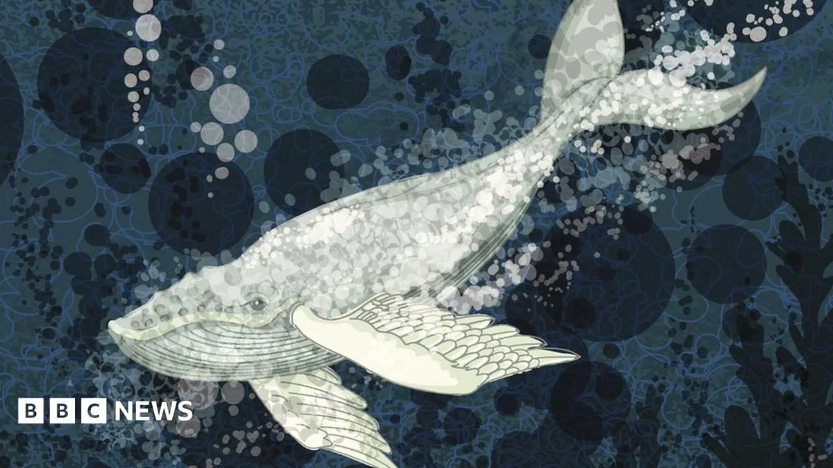 Blue Whale Challenge: The Truth Behind the 'Suicide Game'