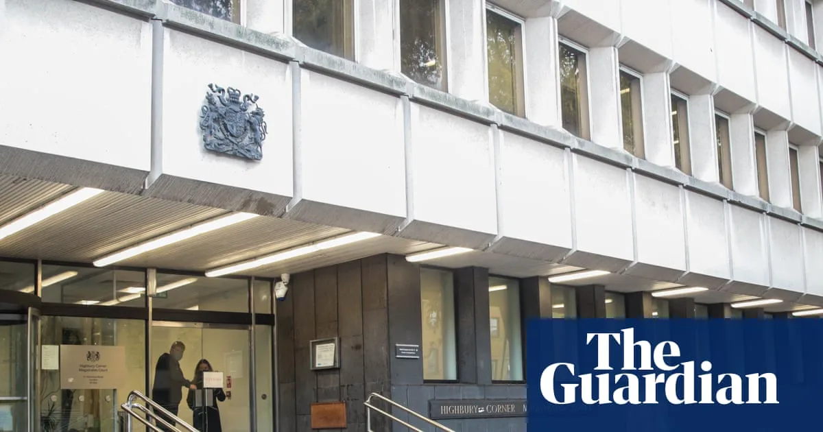 Teenagers Detained for 'Sadistic' Torture and Killing of Two Kittens in London