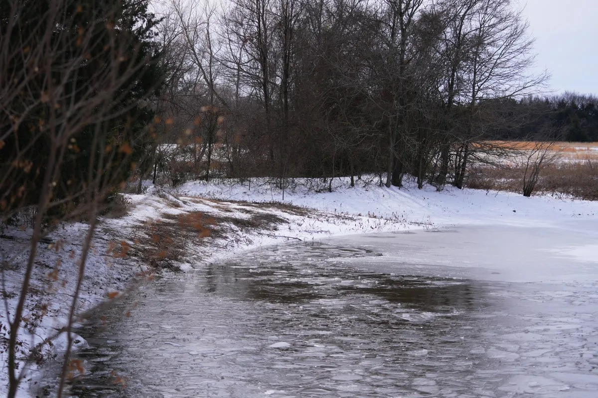 Texas Mother Recalls Heartbreaking Attempt to Save Sons from Frozen Pond