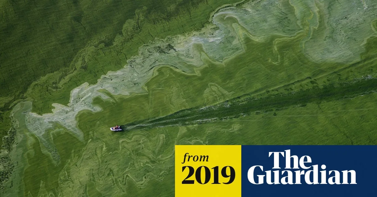 Toxic Algae Crisis Leaves 500,000 Without Safe Water