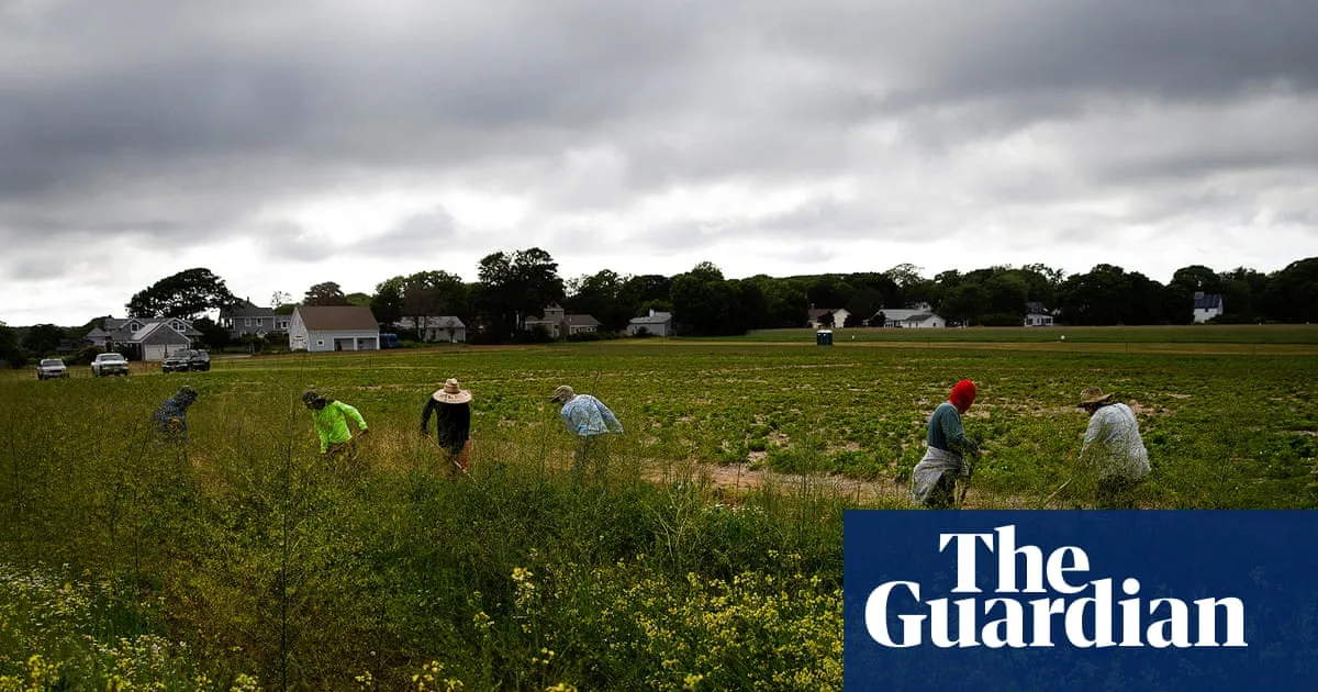 Trump Administration Cuts $15m in PFAS Research on US Farms, Sparking Outcry
