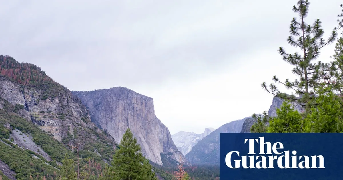 Trump Picks Hospitality Exec With Yosemite Trademark Past For Park Service