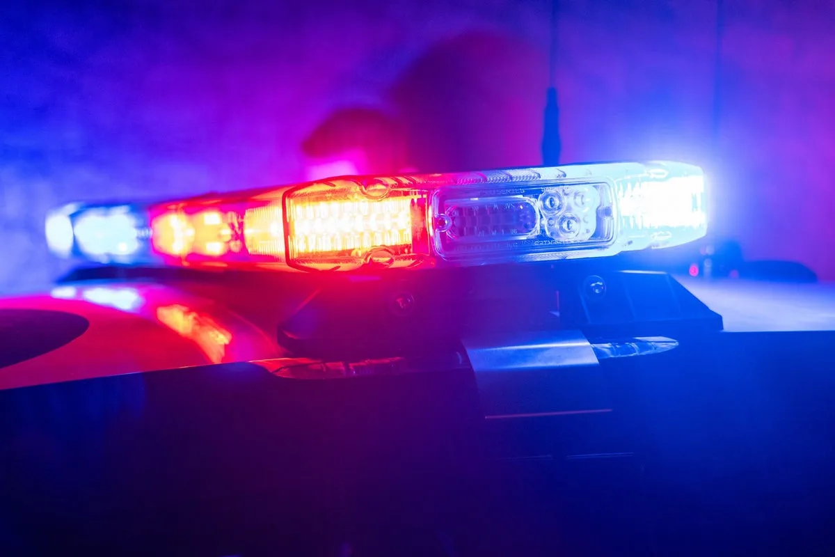 Two Injured in Black Friday Shooting at California Mall