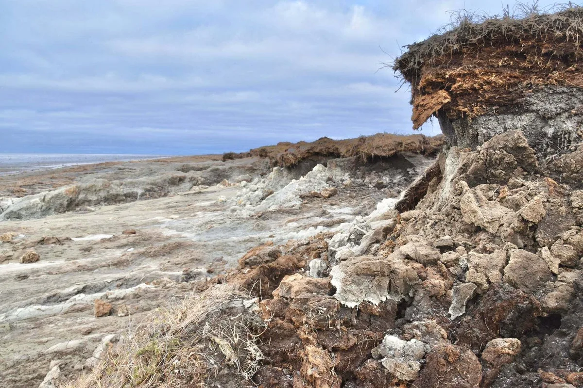 Typhoon Halong Reveals Thousands of Ancient Yup'ik Artifacts in Alaska