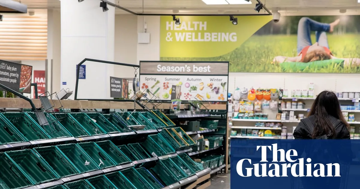 UK Food System a 'Tinderbox' Vulnerable to Crisis, Experts Warn of Riots Risk