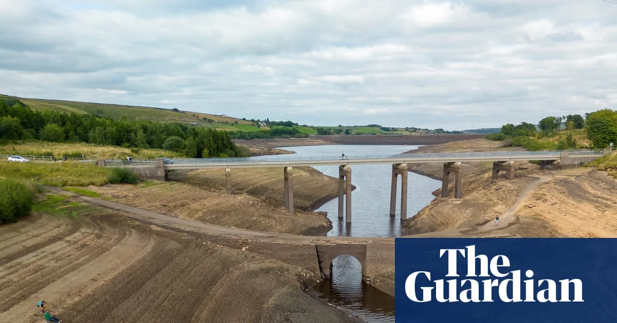 UK Faces Potential Pea Shortage as Spring Drought Hits Crops