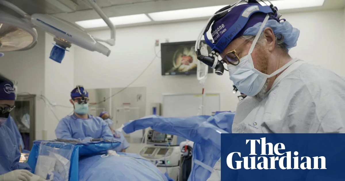 Pig Organ Transplants Could Surpass Human Ones, Surgeon Says