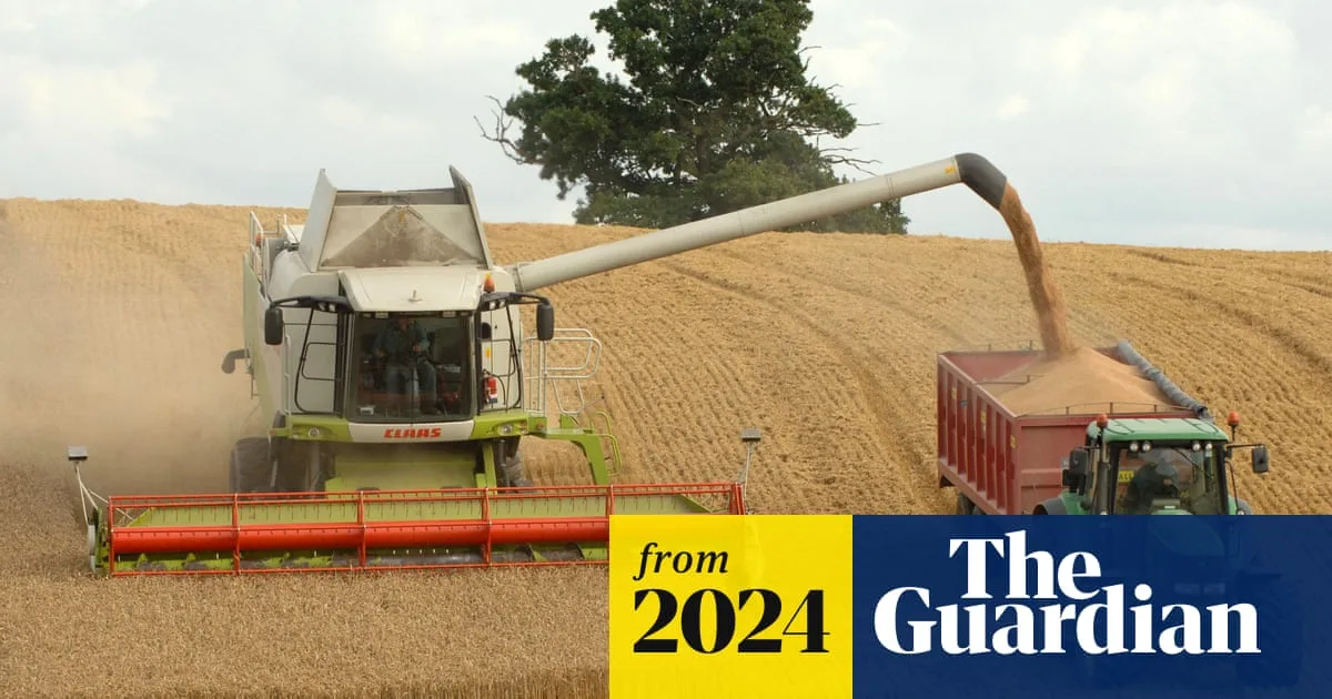 UK Wine Harvest and Staple Crops Devastated by Extreme Weather
