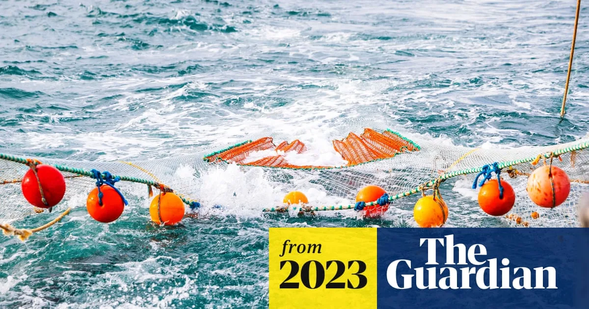 UK Among Nations Condemned for 'Epic' Mackerel Overfishing Disaster
