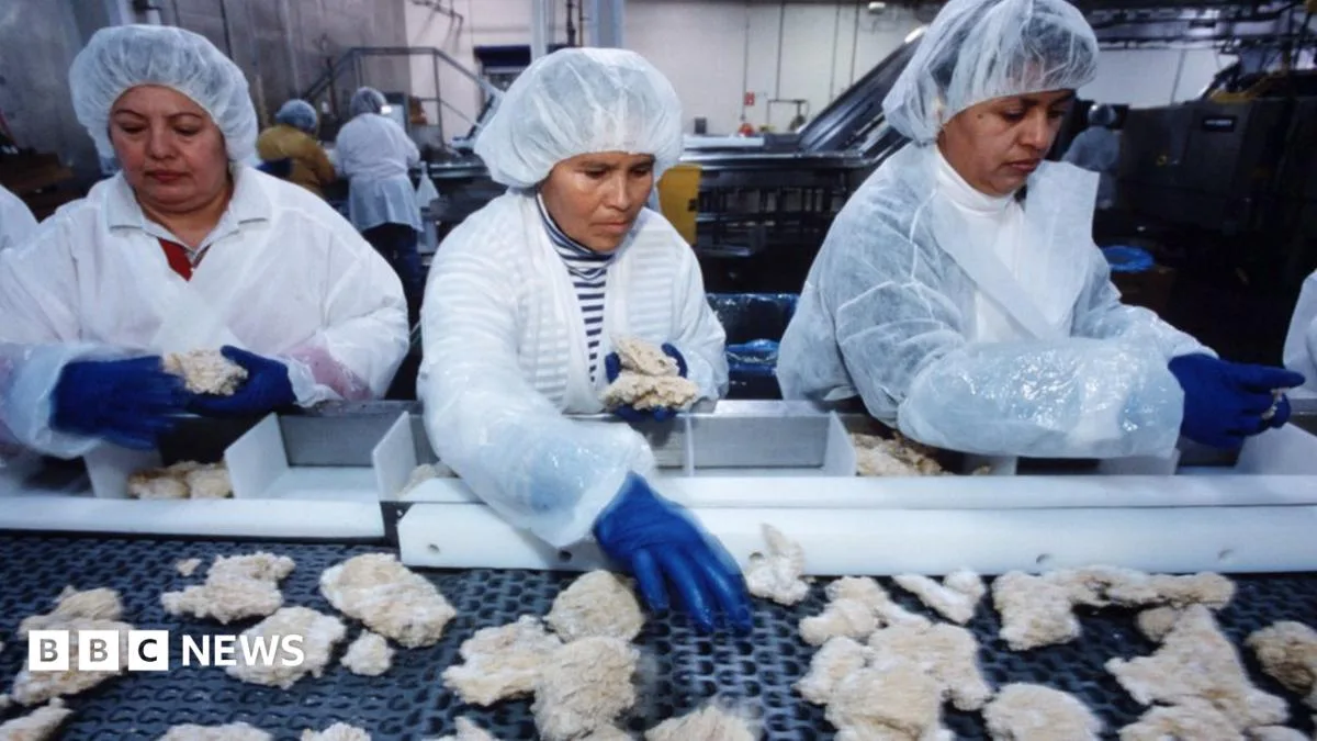 Over 11 Million Pounds of Chicken Strips Recalled in US Over Metal Fears