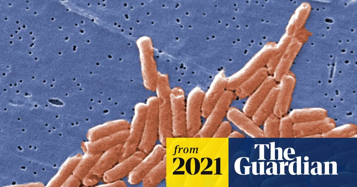 Deadly Salmonella Outbreak in UK Linked to Contaminated Chicken Products