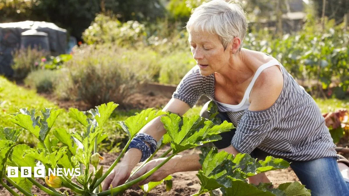State Pension and Benefits Rise Fails to Keep Pace with Inflation