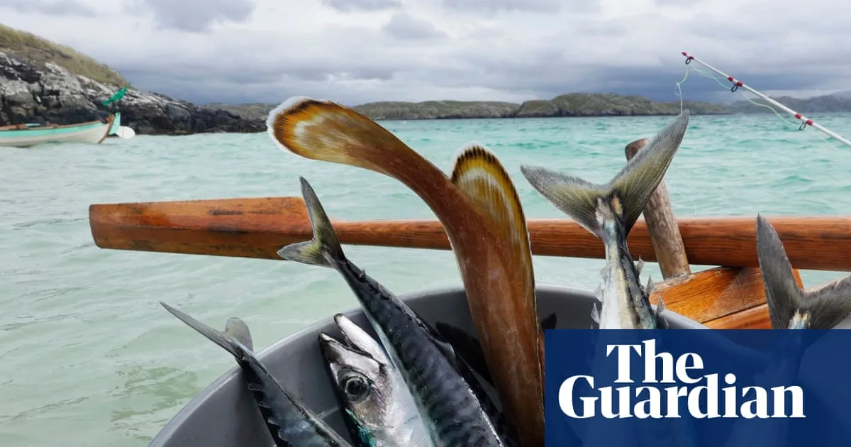 Waitrose Halts Mackerel Sales in UK First Over Sustainability Concerns