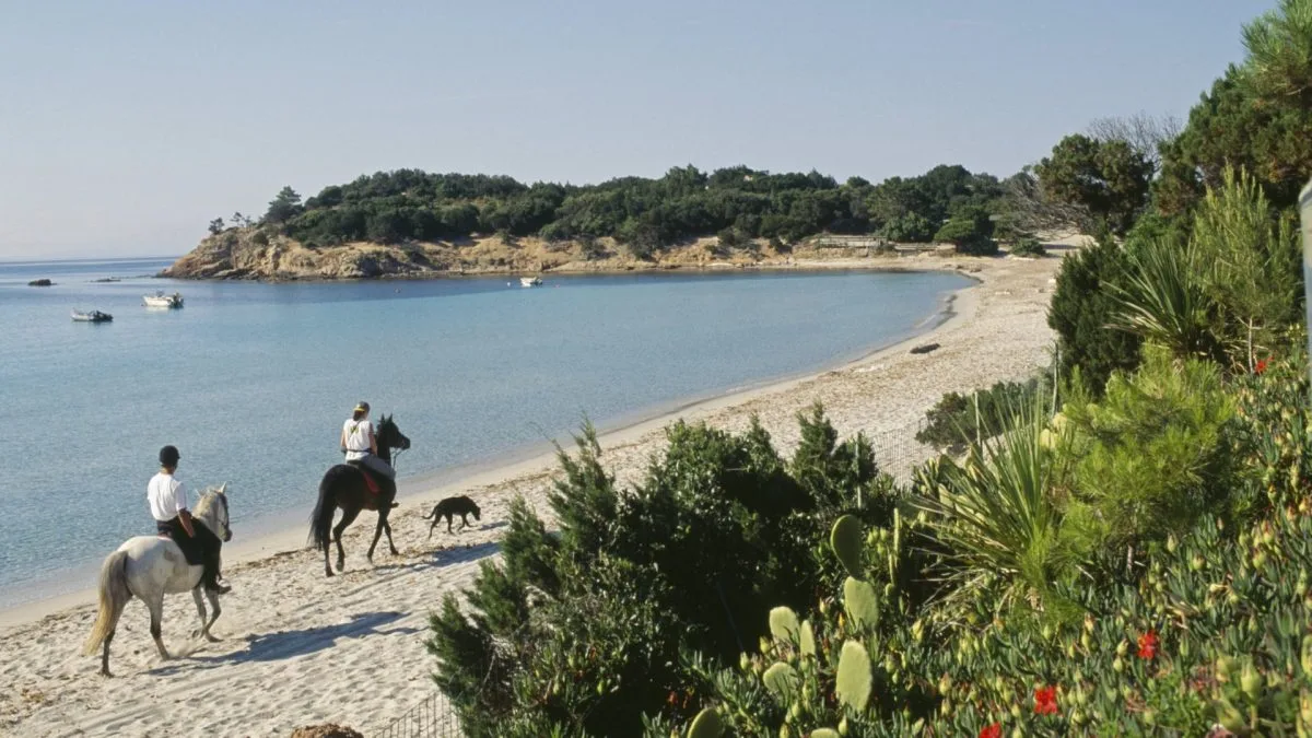 France's Seven Loveliest Islands for a Summer Escape