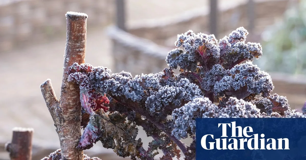 Why Winter Cold Is Vital For Garden Crops