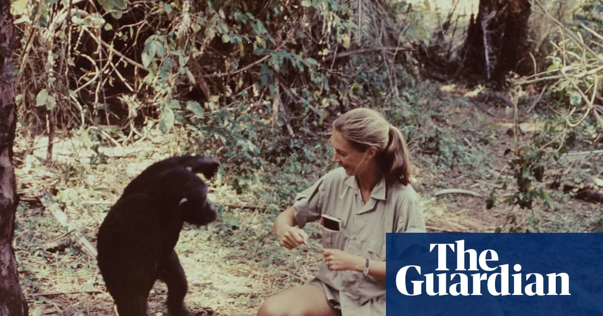 Williams Tribute To Jane Goodall Highlights Royal Divide