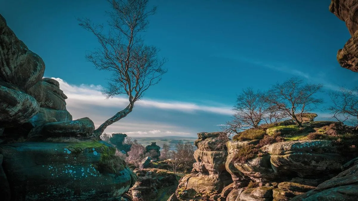 Brimham Rocks: 320-Million-Year-Old Formations in North Yorkshire