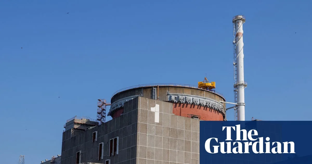 Ukrainian Partisans Foiled Russian Plan to Connect Zaporizhzhia Plant to Grid for Putin's Birthday