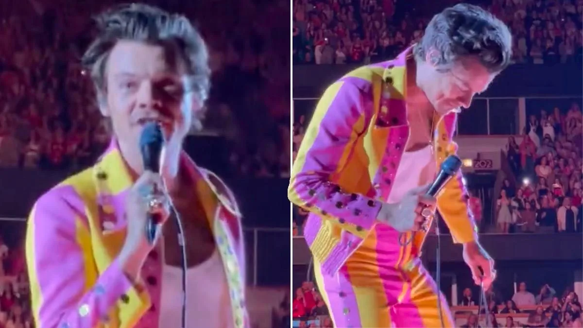Harry Styles Forced to Halt Concert After Fan Throws Bottle at His Groin