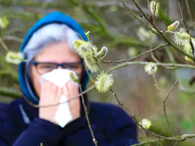 12pm to 4pm Pollen Hack for Better Sleep This Summer