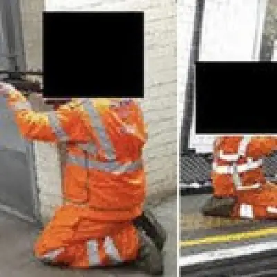 655 pigeons shot and killed in TfL culls at London Tube stations