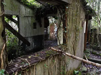 Abandoned Penscynor Wildlife Park Closed Forever After 27 Years