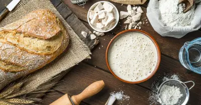 Active Dry vs Instant Yeast: Key Differences for Baking Success