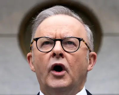 AI May Be Albanese's Toughest Challenge; Guardrails Urgently Needed