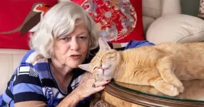 Ann Widdecombe's Cat Aloysius Confirmed Safe After Quick Removal