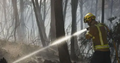At least 12 dead as wildfire ravages Spain amid 42C heatwave