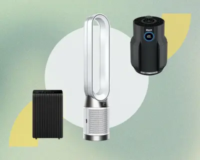 Best Air Purifiers in the US: Winix, Shark, Dyson Tested for Wildfire Smoke and Allergens