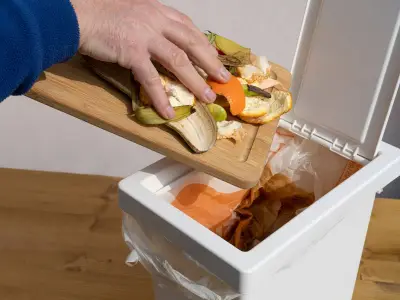 Binman Urges Brits: Stop Putting Food Waste Caddies in the Sun